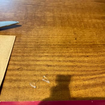 Domates Çorbasında Plastik Madde Şoku