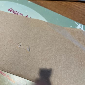 Domates Çorbasında Plastik Madde Şoku