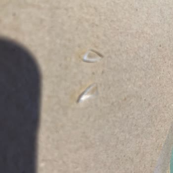 Domates Çorbasında Plastik Madde Şoku