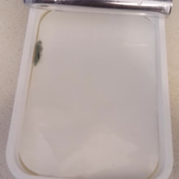 Son Kullanma Tarihi Geçmemiş Peynirde Küf Şoku