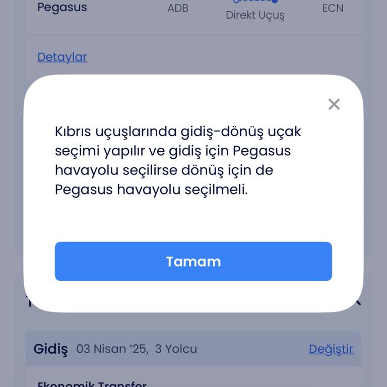 Yanlış Uçak Bileti Ve Yüksek Değişiklik Ücreti Sorunu