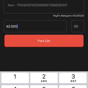 Payfix Hesabında Para Çekim Sorunu Yaşıyorum