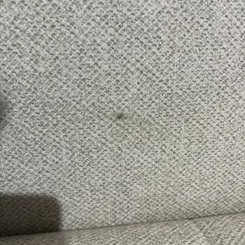 Teşhir Ürünü Koltuklarla Gelen Hayal Kırıklığı