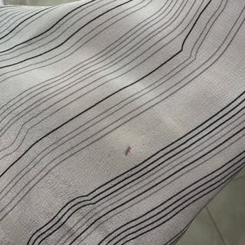 Üst Kalite (!) Mağaza, Delik Gömlek Ve İlgisizlik