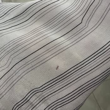 Üst Kalite (!) Mağaza, Delik Gömlek Ve İlgisizlik