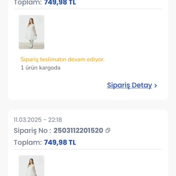 LCW'den Sipariş Edilen Elbise Teslim Edilmedi, Kızım Mağdur Oldu