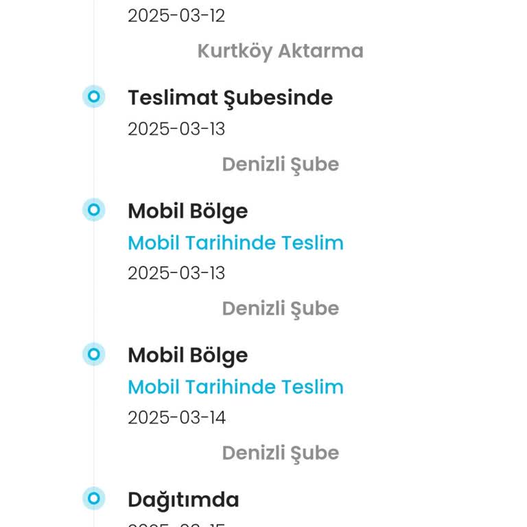 Kargoist Mağduriyeti: Evdeyken Ulaşılamadı!