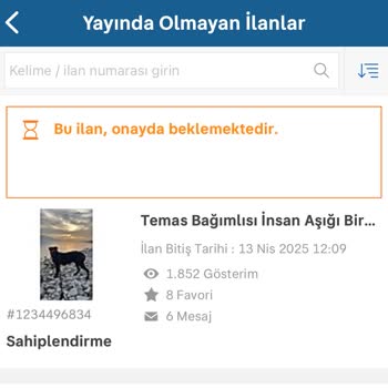 Sahibinden.com İlan Yayınlama Sürecinde Yaşanan Zorluklar