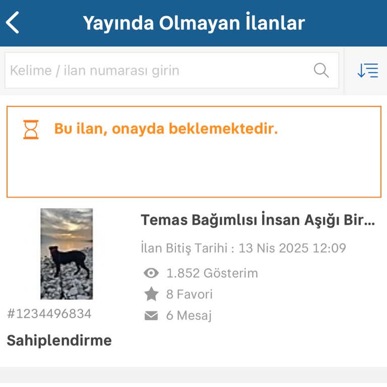 Sahibinden.com İlan Yayınlama Sürecinde Yaşanan Zorluklar