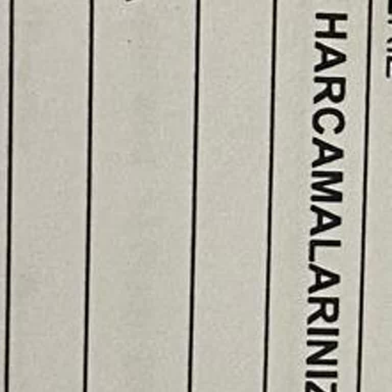 Bilinmeyen Harcama: Alpos Teknoloji/Nomu Pay Öde