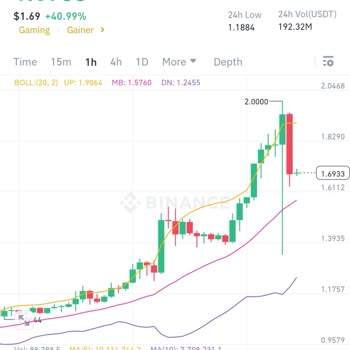 Binance Pro'da Beklenmedik Likidasyon Sorunu