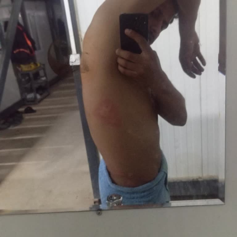 Tahta Kurusu Kabusu: Rahatsız Edici Yolculuk