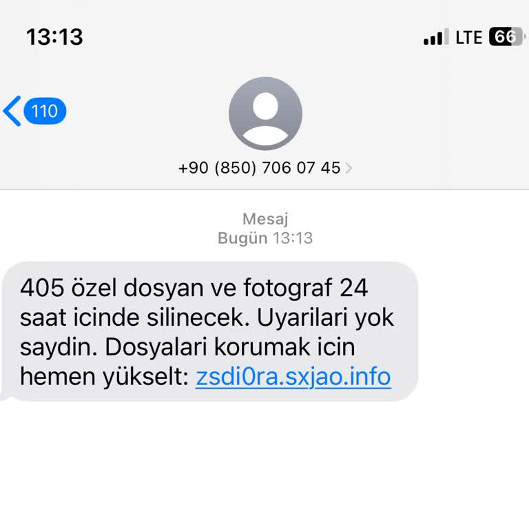 Sahte Web Sitesi Dolandırıcılığı Mesajı Hakkında Şüphe Ve Endişe