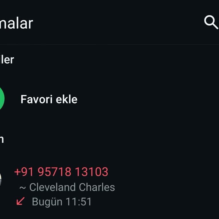 WhatsApp unerwünschter Anruf von +91, Datenschutzbedenken und Sicherheitsrisiko