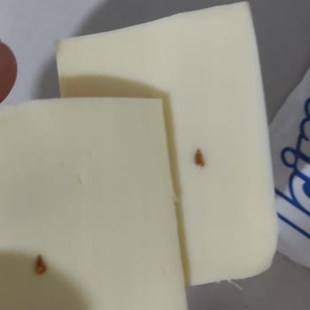 İçim Kaşar Peynirinde Beklenmedik Sürprizler!