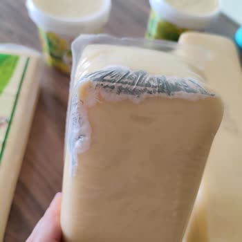 Küflü Peynir Sorunu Ve Yetersiz Çözüm Önerisi