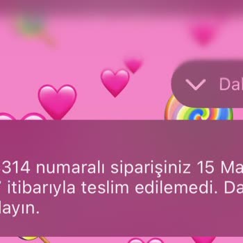 Hızlı Teslimat Ücreti Boşa Gitti: Zara Ve Kargoist'in İletişim Sorunu