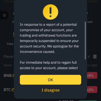 I can't access my Binance account due to error code 133197