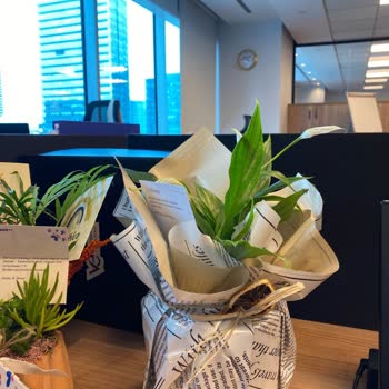 Çiçeksepeti'nden Gelen Hayal Kırıklığı: Görkemli Çiçek Yerine Solgun Yapraklar