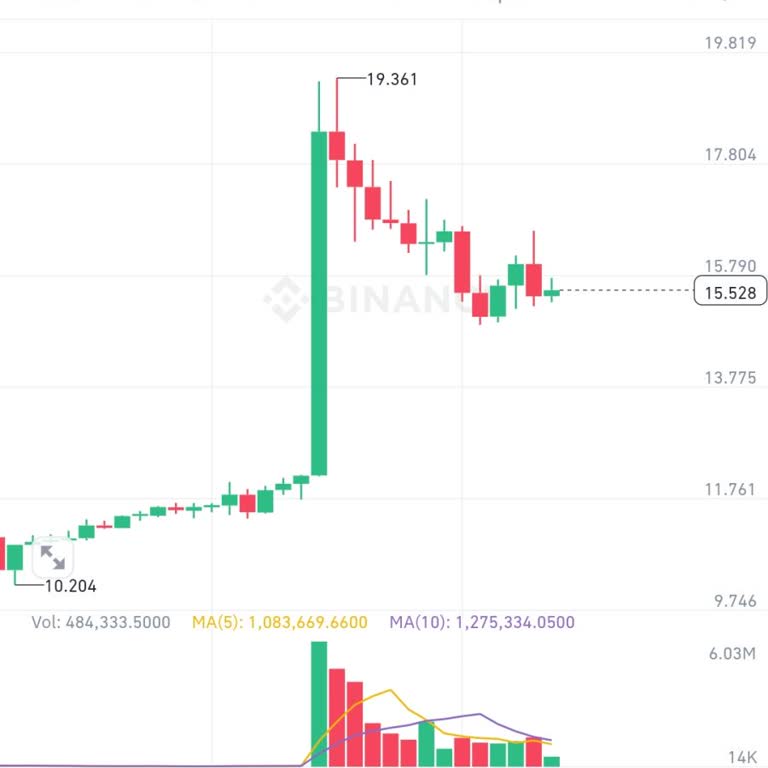 Binance Liquidated My Short Position Unfairly – Funds Lost