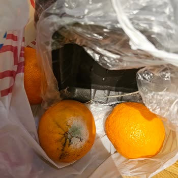 Carrefour Sanal Market'te Çürük Portakal Sorunu