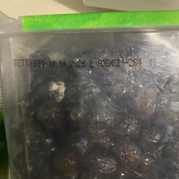 Tukaş Siyah Zeytin Ambalajında Küflenme Sorunu