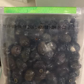 Tukaş Siyah Zeytin Ambalajında Küflenme Sorunu