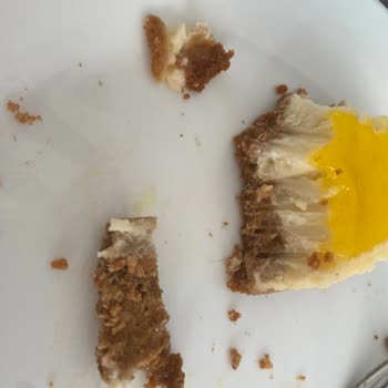 Hijyen Sorunu: Cheesecake İçinde Kıl