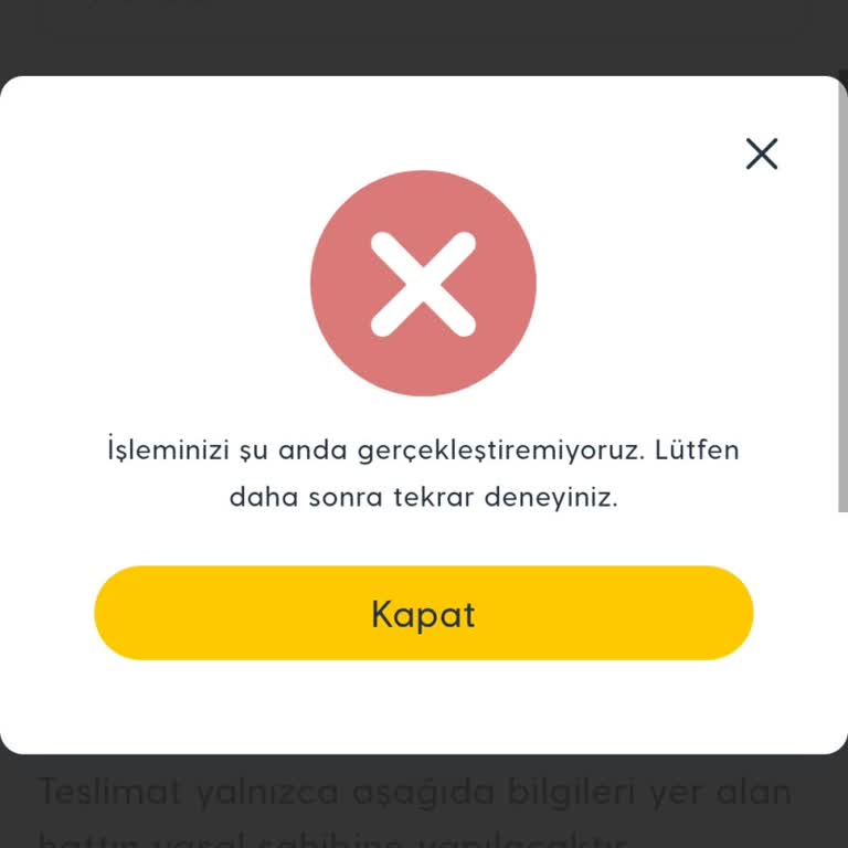 Satın Alma Sürecinde Sürekli Hata Ve Çözüm Eksikliği