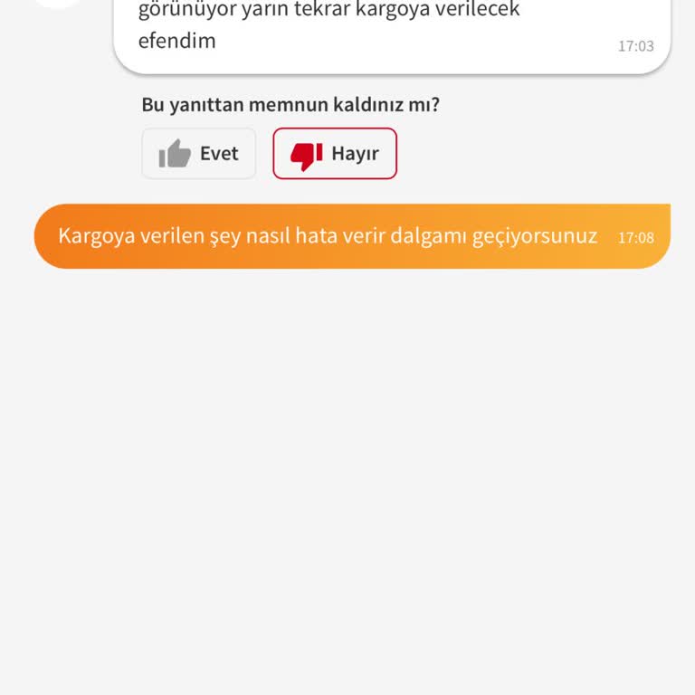 Trendyol'da Zincirleme Sorun: Ürün Kargoya Verilmiyor!