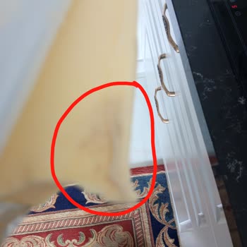 Tereyağında Kalite ve Güvenlik Sorunları