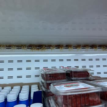 Market Şubesinde Hijyen Sorunu