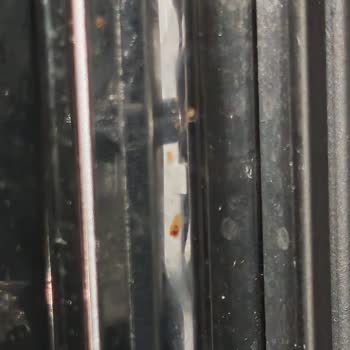 Vestel Bulaşık Makinesi İle Küf Problemi