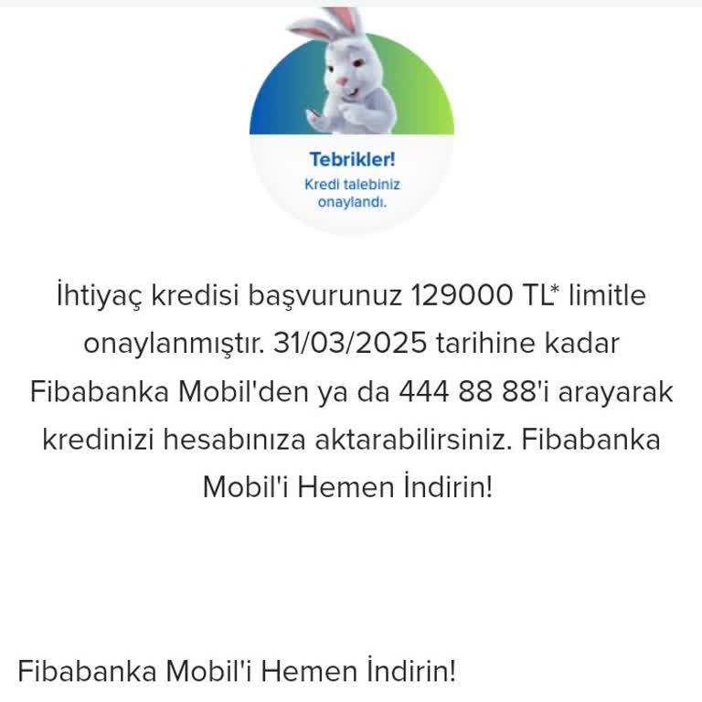 Ön Onaylı Kredi Kullanım Sorunu