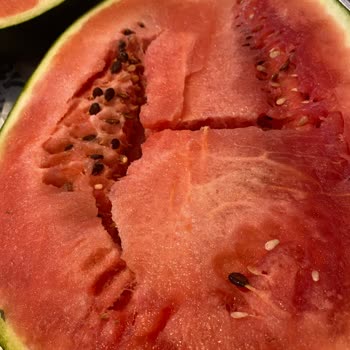 Migros'tan Aldığım Çürük Karpuz Ve İlgisiz Müşteri Hizmetleri