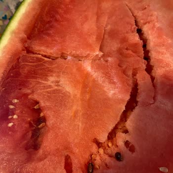 Migros'tan Aldığım Çürük Karpuz Ve İlgisiz Müşteri Hizmetleri