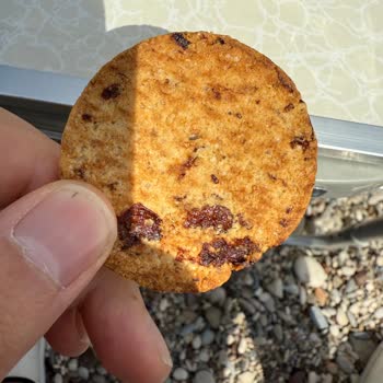 Ürün Kalitesi ve Müşteri Hizmetleri Sorunları