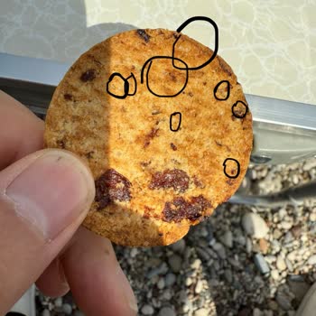 Ürün Kalitesi ve Müşteri Hizmetleri Sorunları