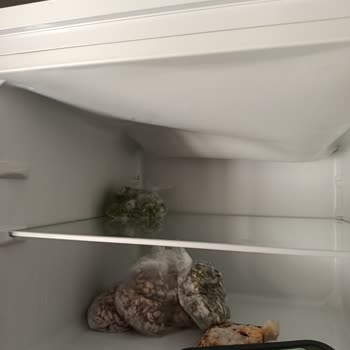 Buzdolabında Boya Kalkması Ve Üst Buzluk Çökmesi