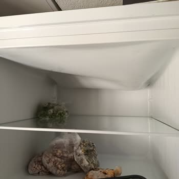 Buzdolabında Boya Kalkması Ve Üst Buzluk Çökmesi