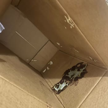 Kargo Dağıtımında Yaşanan Sorunlar Ve Tehditkar Davranışlar