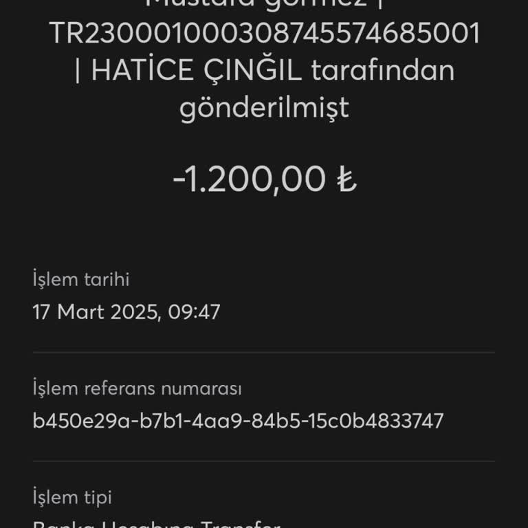 İninal'den Ziraat Bankasına Gönderilen Para Kayboldu