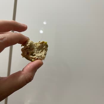 Pol's Gurme Serisi Helvada Hijyen Sorunu