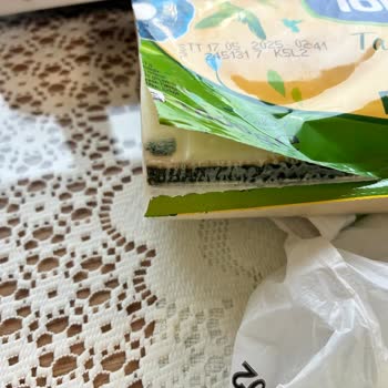 Tarihi Geçmemiş Torku Kaşar Peynirinde Küf Sorunu