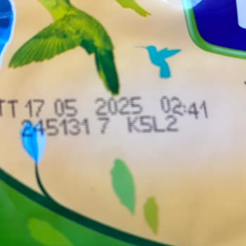 Tarihi Geçmemiş Torku Kaşar Peynirinde Küf Sorunu