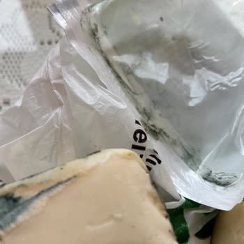 Tarihi Geçmemiş Torku Kaşar Peynirinde Küf Sorunu