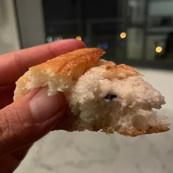 Ekmekten Çıkan Plastik Tehlikesi