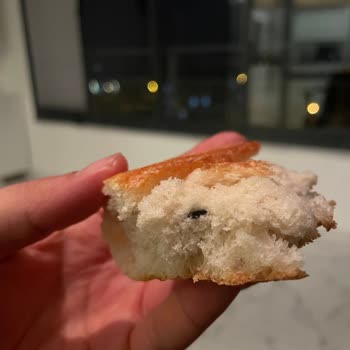 Ekmekten Çıkan Plastik Tehlikesi