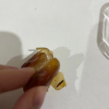 Kurtlu Hurma Şoku: İftarda İstenmeyen Sürpriz