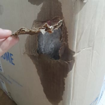 Eksik Ve Kırık Gelen Siparişe Çözüm Bekliyorum